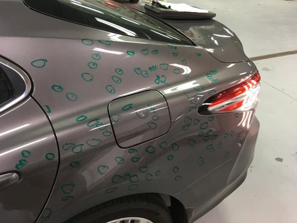 Hail dents circled on a gray Toyota rear quarter panel